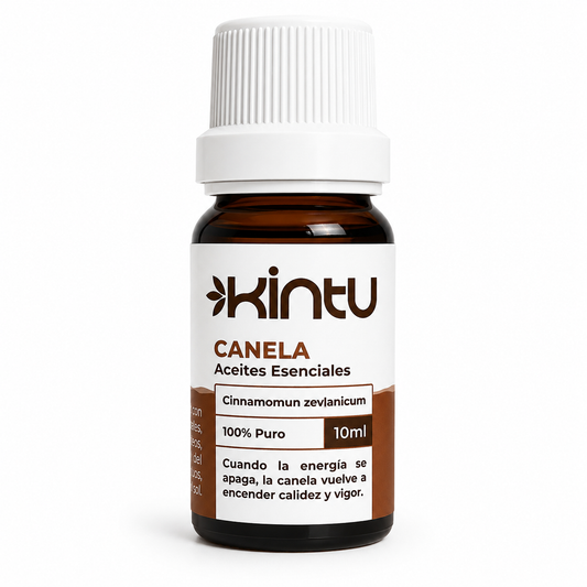 Canela - 1