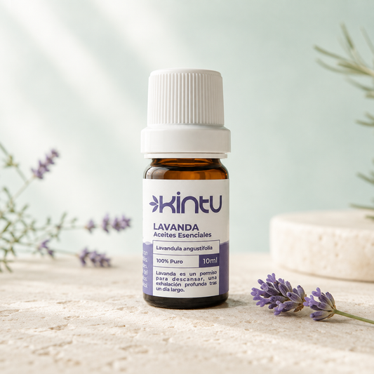 Lavanda - 2