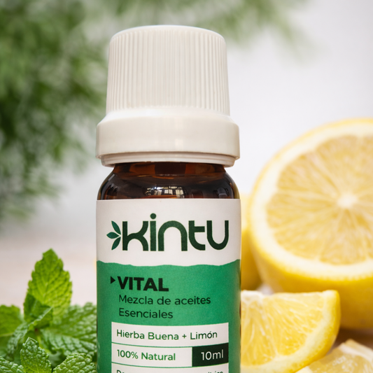 Aceite de aromaterapia energizante Vital usado para aromaterapia y vitalidad